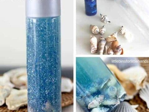 Image for Seashell Discovery Bottle