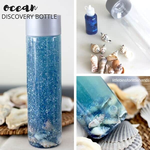 Image for Seashell Discovery Bottle