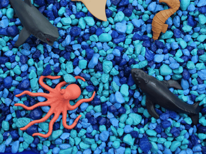 Image for Ocean Sensory Bin