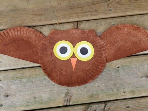 Image for Paper Plate Owl Craft