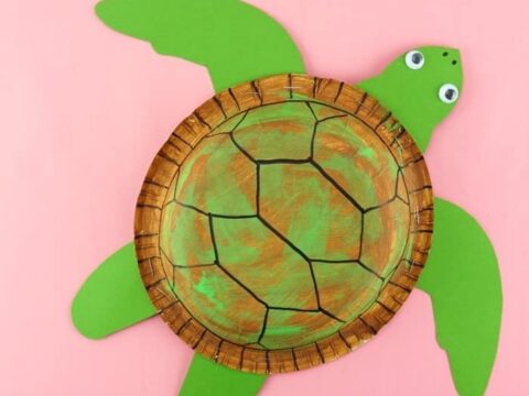 Image for Paper Plate Sea Turtle Craft