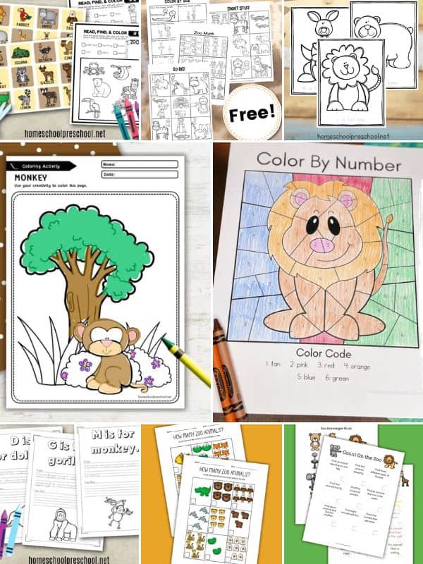 Preschool Zoo Theme Activities