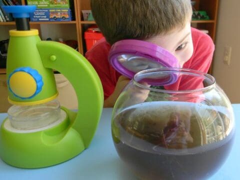 Image for Inspecting Pond Water