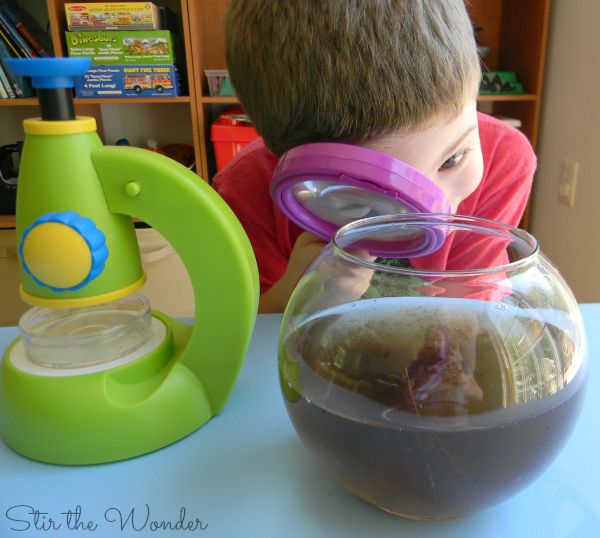 Image for Inspecting Pond Water