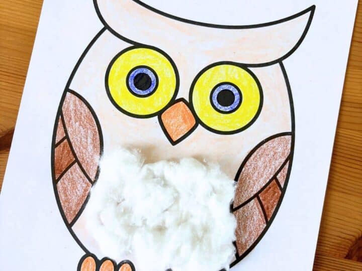 Image for Cotton Ball Owl Craft