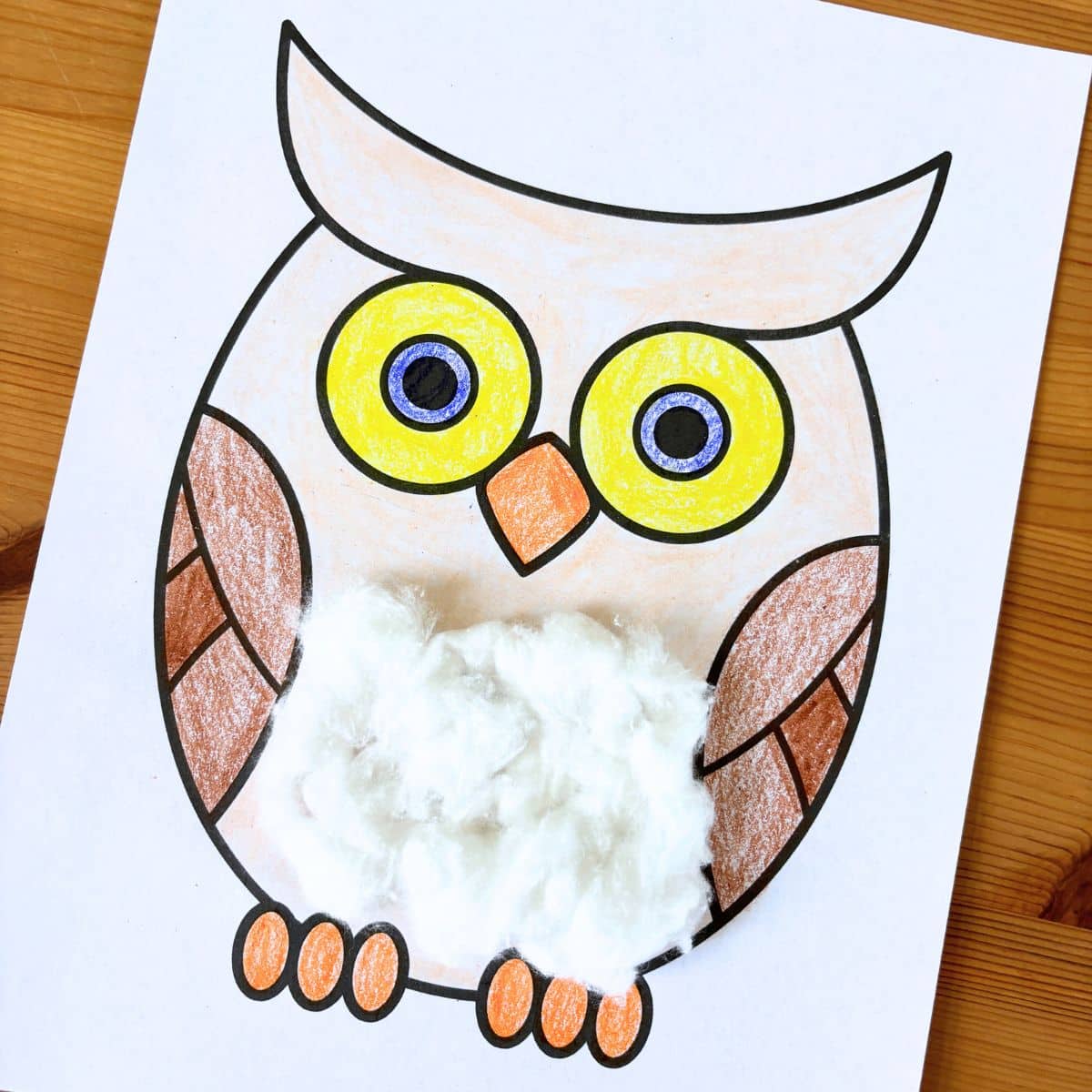 Image for Cotton Ball Owl Craft
