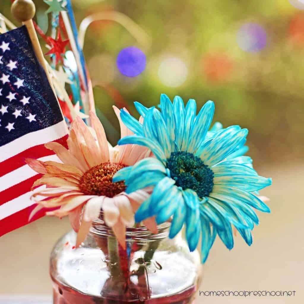 Patriotic color changing flowers with red and blue tinted petals displayed in a jar next to a small American flag.