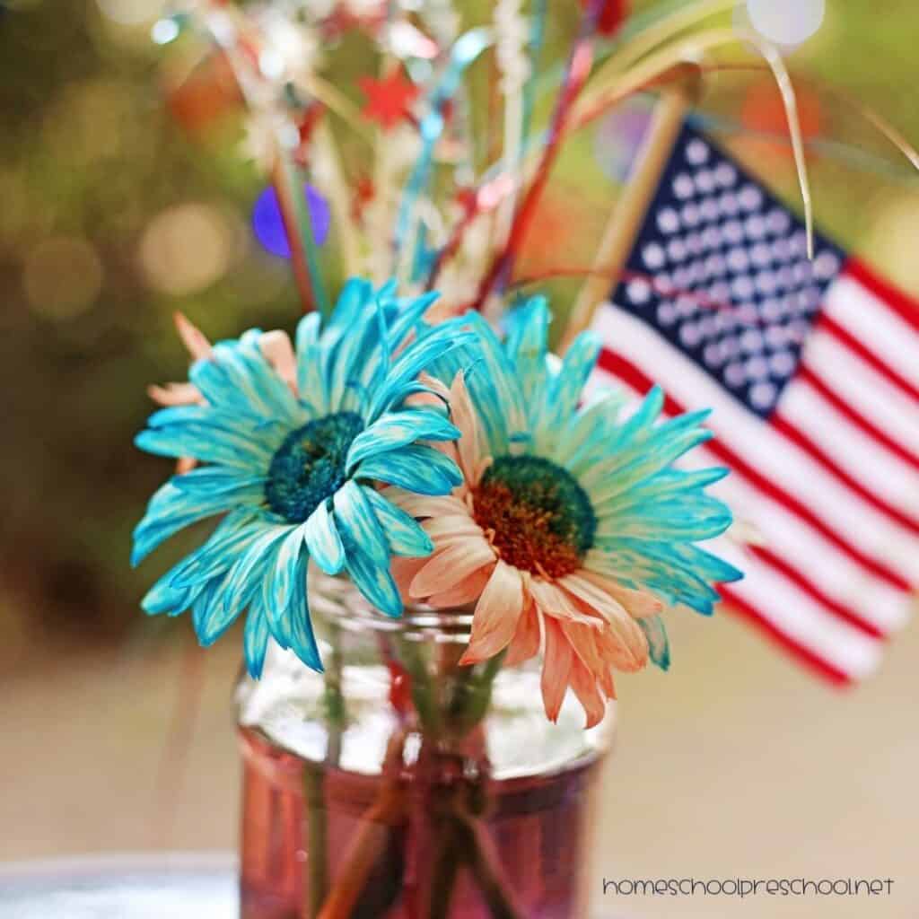 Red and blue color changing flowers displayed in a jar with a small American flag for a patriotic science experiment.