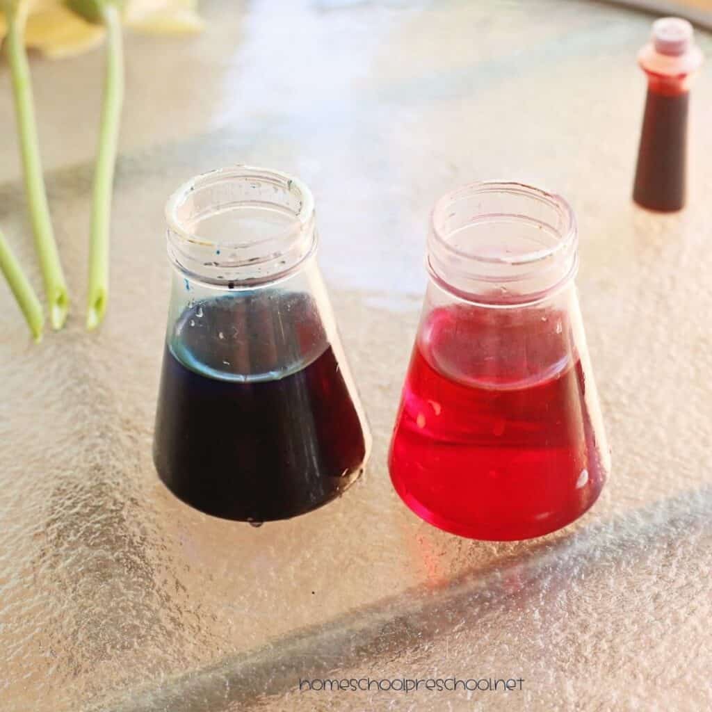 Two small jars filled with red and blue colored water for a patriotic color changing flowers science experiment.