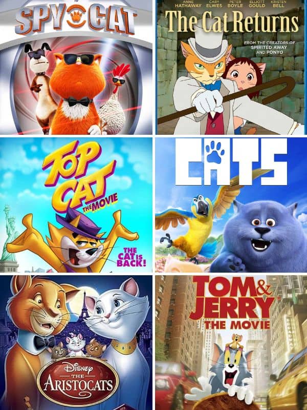 Cat Movies for Kids