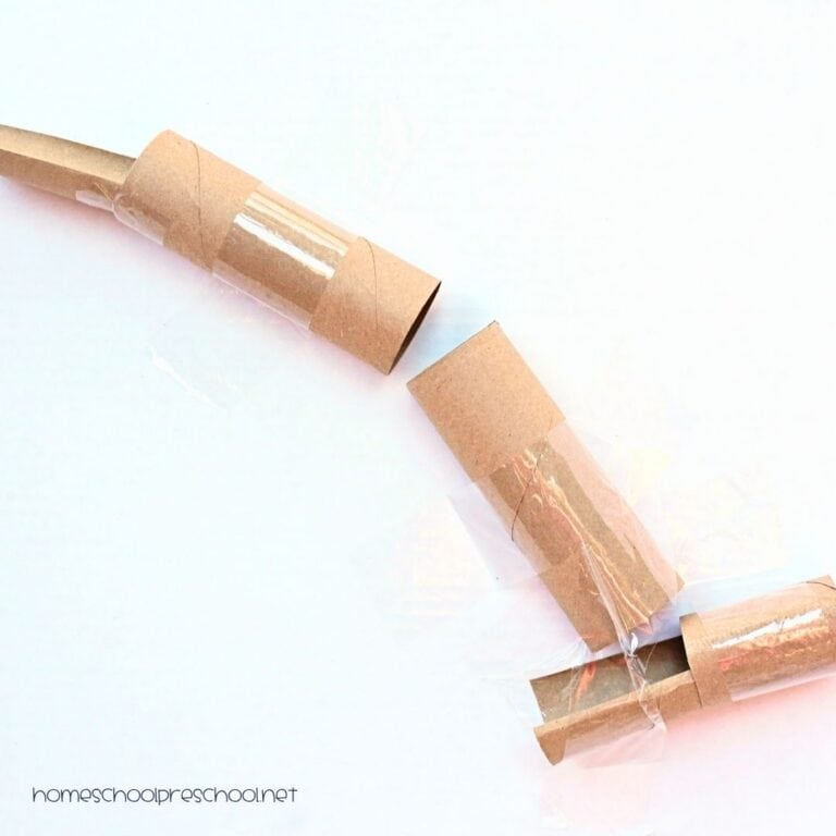 How to Make a Marble Run Out of Toilet Paper Rolls