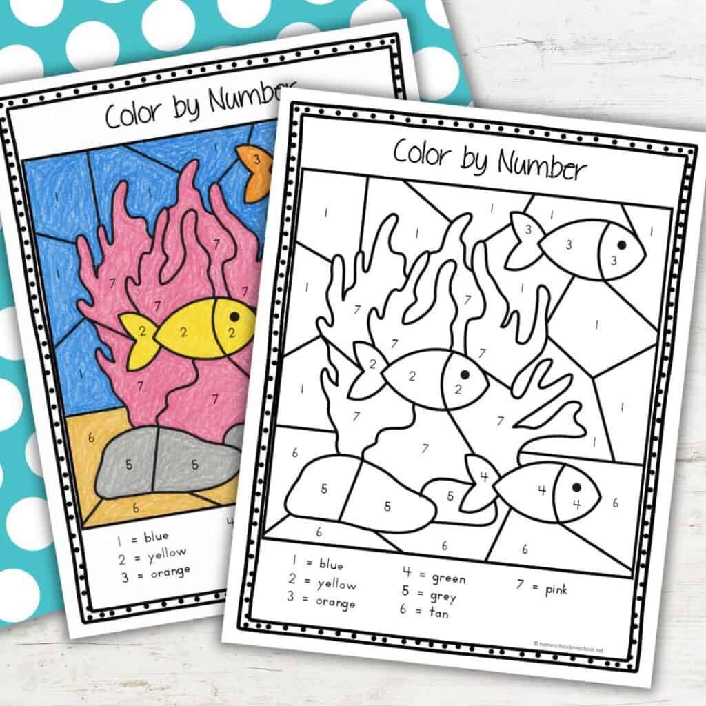 Ocean fish color by number worksheet shown completed and blank for preschool math centers