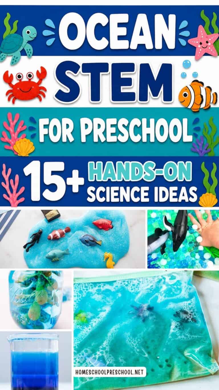 Ocean STEM Activities for Preschoolers