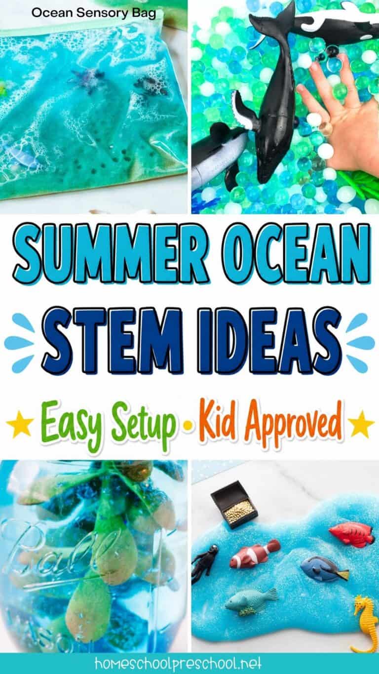 Ocean STEM Activities for Preschoolers