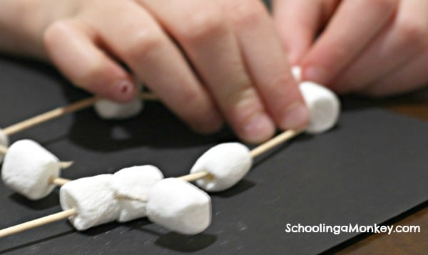 Image for Marshmallow Constellations