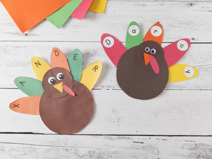 Image for Turkey Name Craft