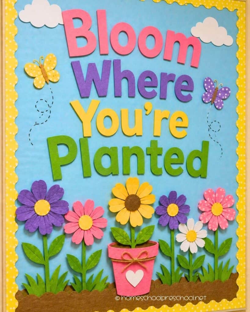 Bloom Where You're Planted preschool bulletin board with colorful paper flowers, butterflies, potted flower, and the words "Bloom Where You're Planted."