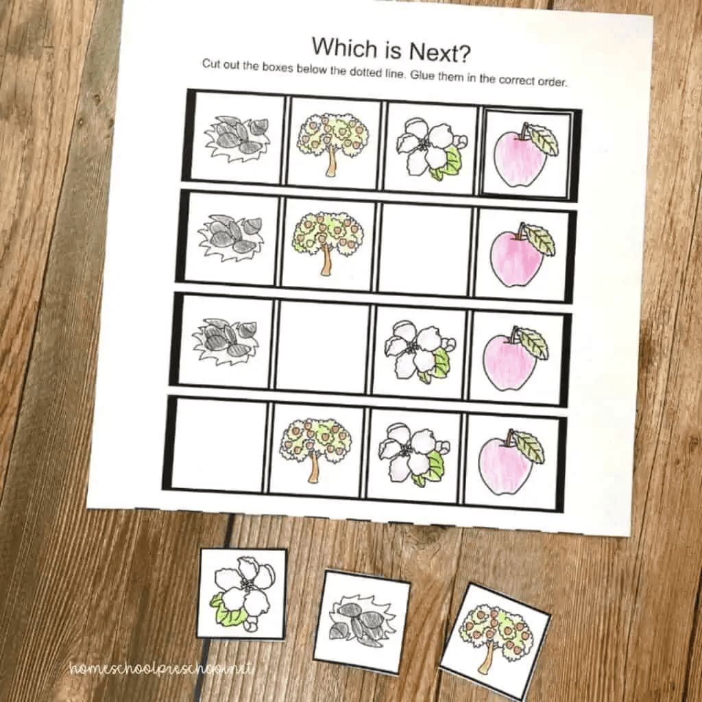 Apple life cycle sequencing worksheet with seed, apple tree, blossom, and apple pictures to cut, order, and glue.