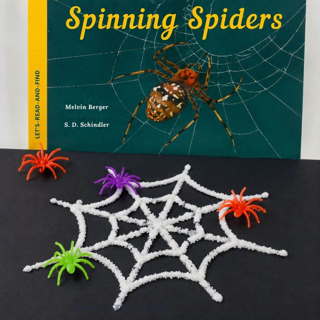 Salt Painted Spider Web Craft