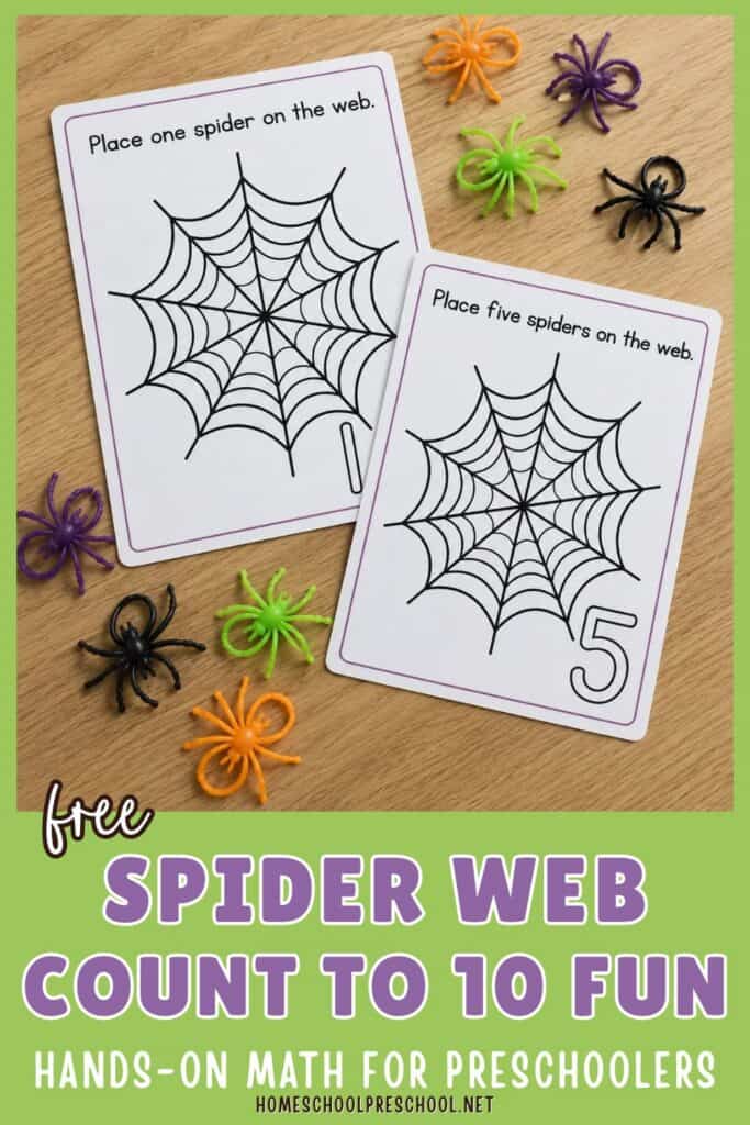 Free spider web counting activity for preschoolers with printable number mats and colorful spider counters for practicing numbers 1–10.