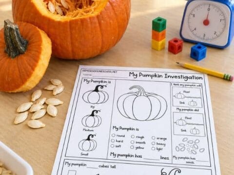 Pumpkin investigation worksheet on a classroom table beside a cut-open pumpkin, pumpkin seeds, linking cubes, and a scale.
