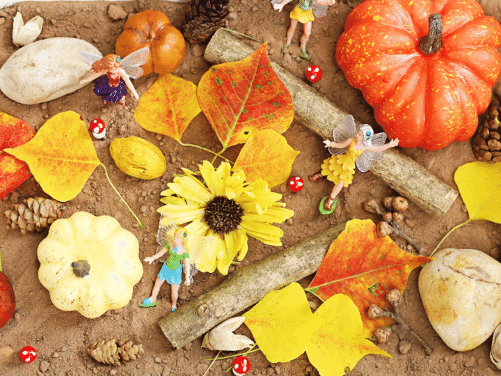 Image for Fall Fairy Garden Sensory Bin: Whimsical Sensory Play for Kids