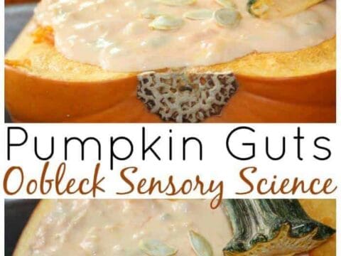 Image for Pumpkin Oobleck With A Real Pumpkin