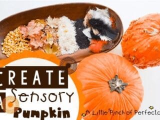 Image for Sensory Pumpkin Decorating