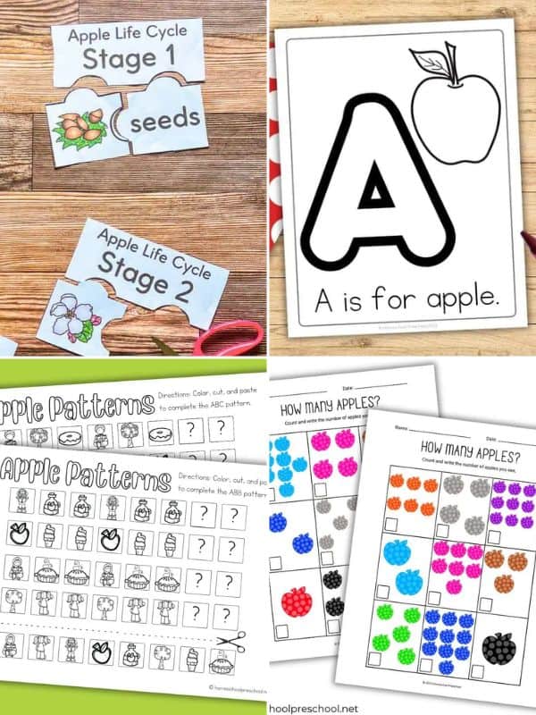 Collage of apple printables for preschoolers featuring apple life cycle puzzles, an A is for Apple coloring page, apple pattern worksheets, and colorful apple counting activities.