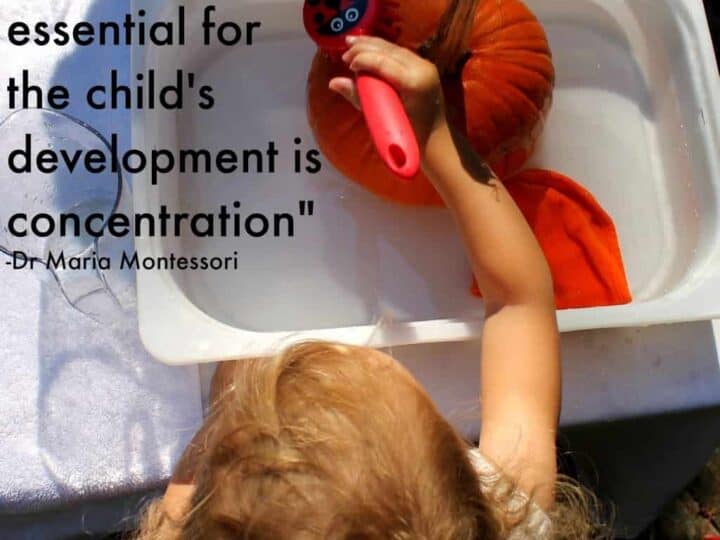 Image for Montessori Pumpkin Washing Station