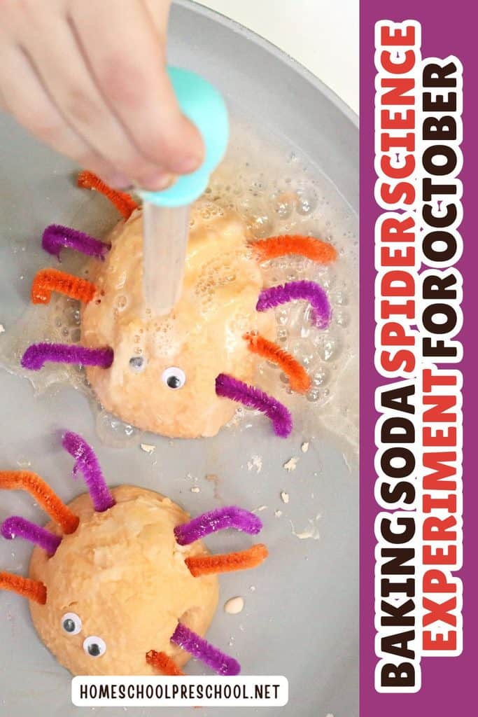 Preschooler using a dropper to add vinegar to baking soda spiders during a fizzy Halloween science experiment.