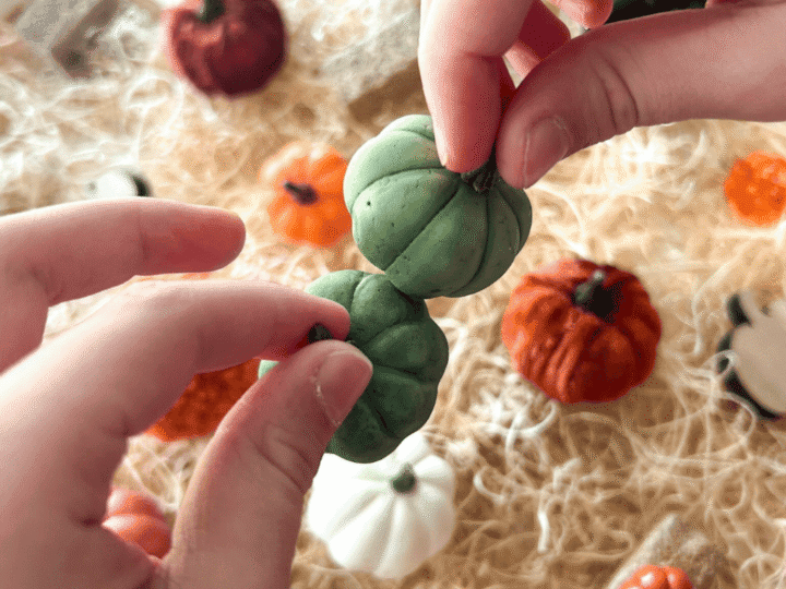 Image for Pumpkin Patch Matching Game: A Fun, Sensory Fall Activity