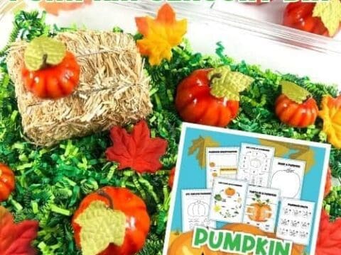 Image for Easy Pumpkin Sensory Bin For Fall