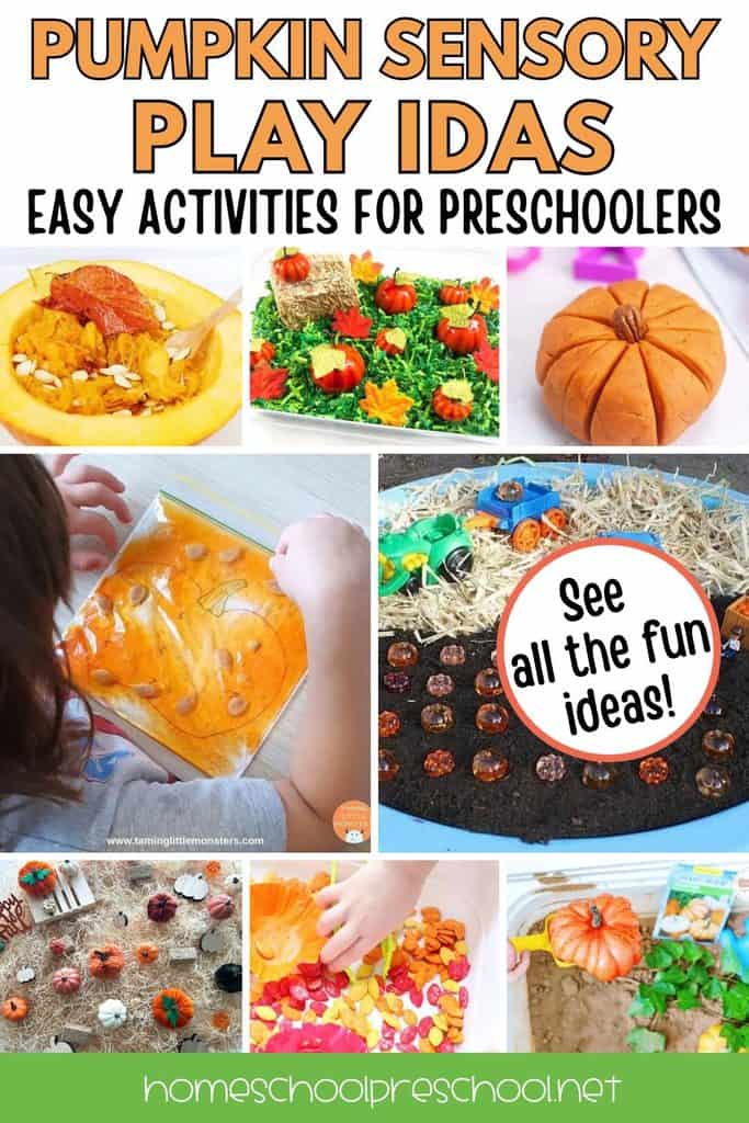 Collage of pumpkin sensory play ideas for preschoolers, including pumpkin guts, a pumpkin patch sensory bin, pumpkin playdough, sensory bags, and fine motor activities.