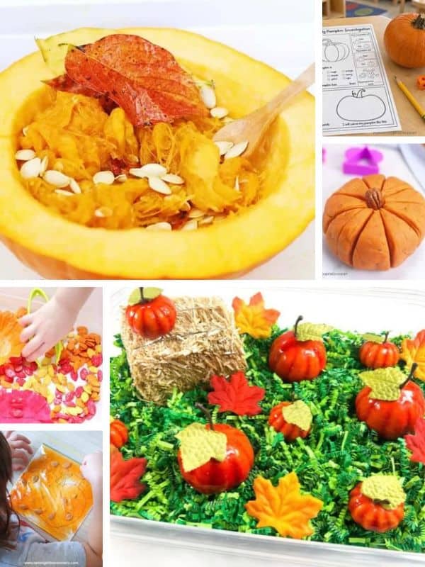 Collage of pumpkin sensory play ideas for preschoolers, including pumpkin guts exploration, a pumpkin investigation worksheet, pumpkin playdough, a pumpkin seed sensory activity, and a pumpkin patch sensory bin.